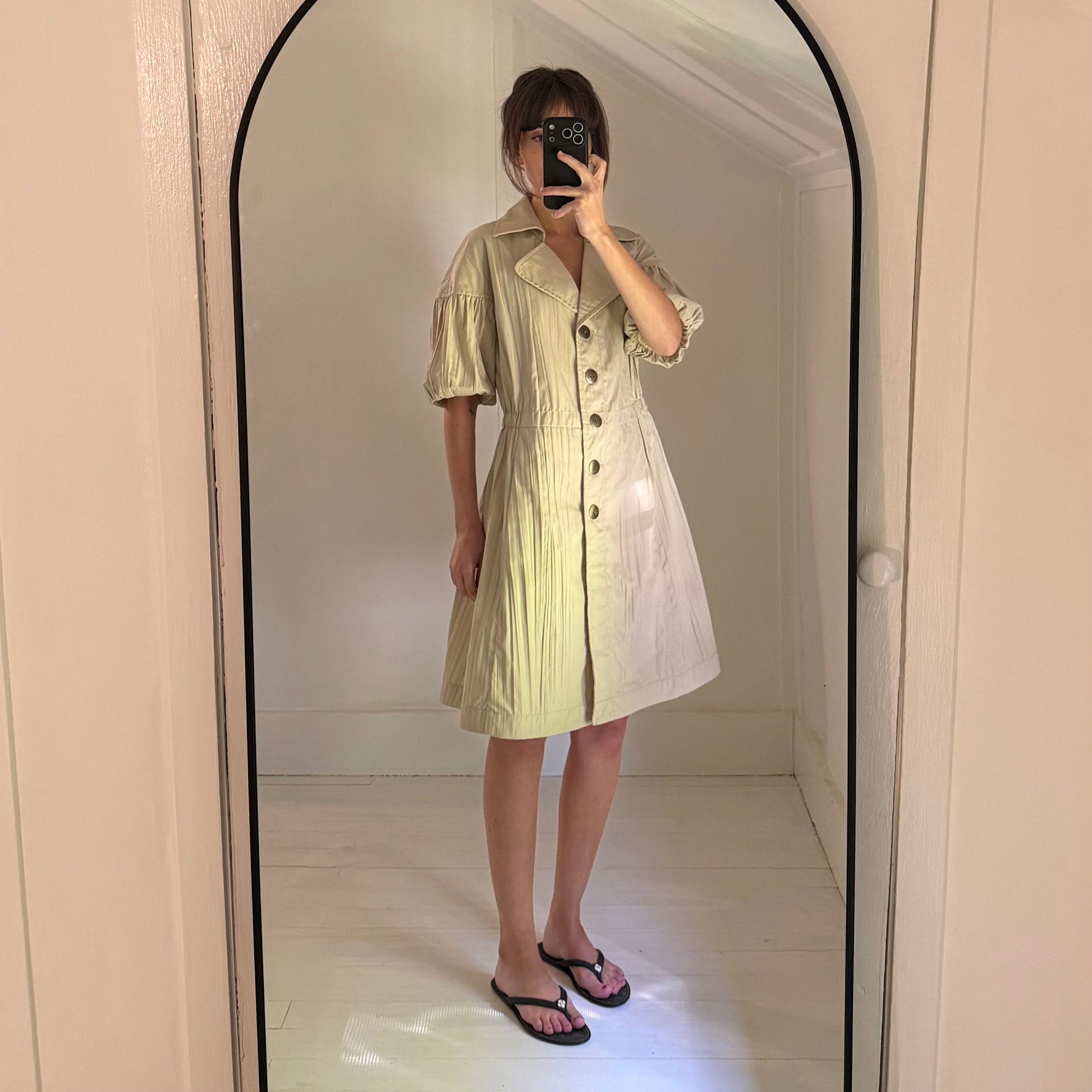 Worth Pleated Puff Sleeve Button Front A-Line Shirt Dress Size P