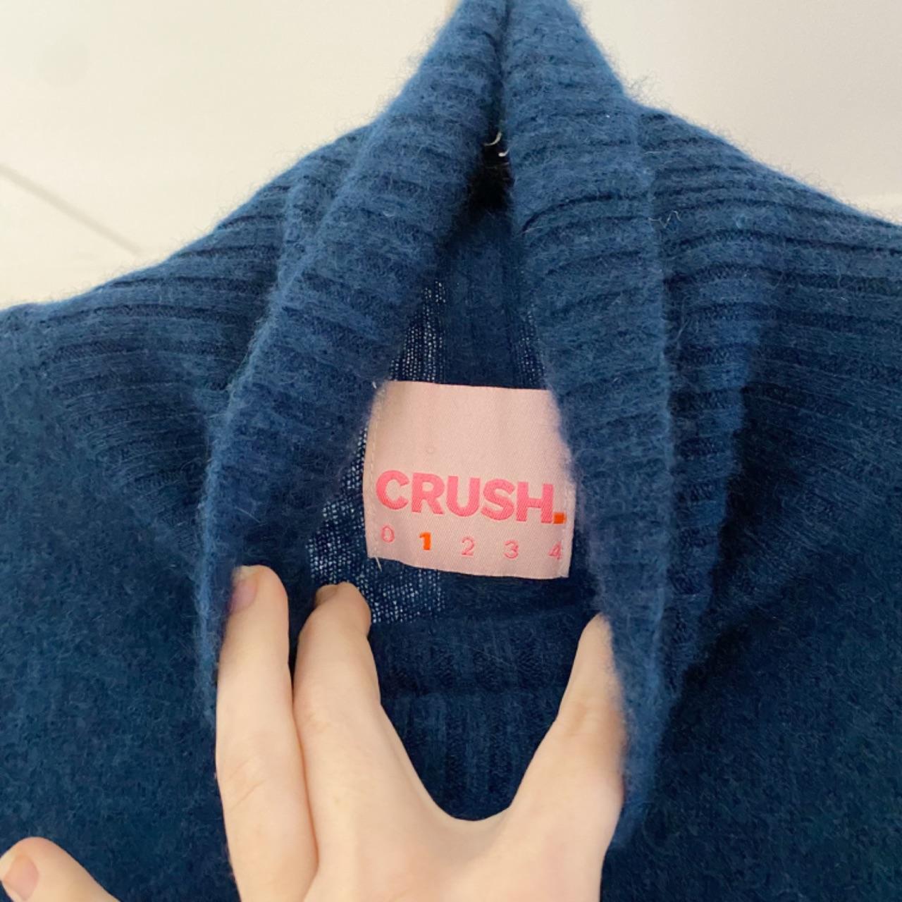 Crush Cashmere Knit Turtleneck Sweater Size 1